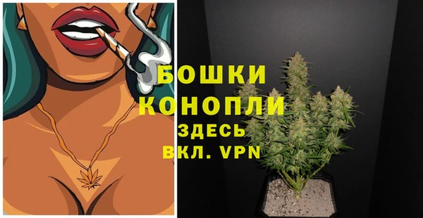 бошки Вяземский
