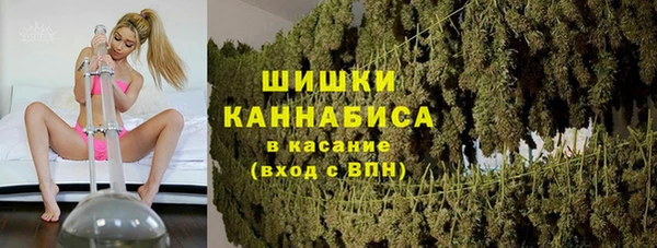 ПСИЛОЦИБИНОВЫЕ ГРИБЫ Вязьма