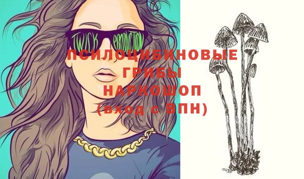 ПСИЛОЦИБИНОВЫЕ ГРИБЫ Вязьма