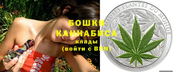 ПСИЛОЦИБИНОВЫЕ ГРИБЫ Вязьма