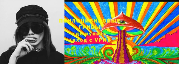 бошки Вяземский