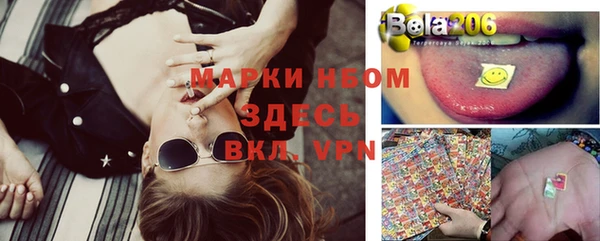 ПСИЛОЦИБИНОВЫЕ ГРИБЫ Вязьма