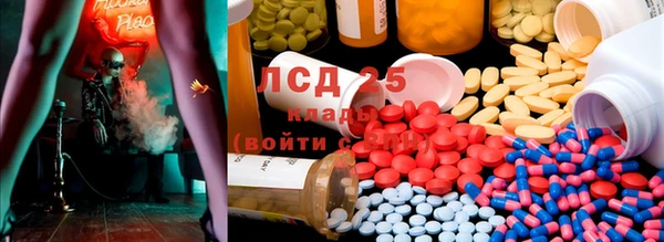 ПСИЛОЦИБИНОВЫЕ ГРИБЫ Вязьма
